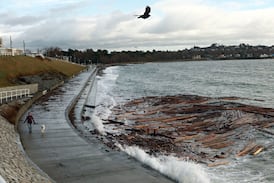 Environment Canada lifts coastal flooding bulletin for southern B.C.