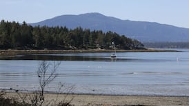 Scuba diver’s death in B.C. a ‘tragic incident,’ police say as investigation underway
