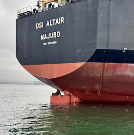 Seal seems to pose for camera while perched on massive vessel