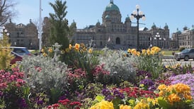 Confidence vote could trigger spring election campaign in B.C. 