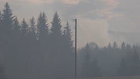 Wildfire evacuation order issued for county northwest of Edmonton