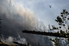 Wet and mild winter is 'good news' for B.C. wildfire season, says forecaster