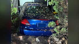 Drunk driver crashes into home in Abbotsford, B.C., police say