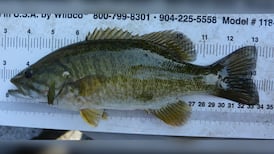 Two Americans fined for illegal bass fishing in northern Ontario