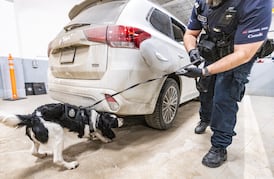 CBSA launches first canine unit specialized in fentanyl detection