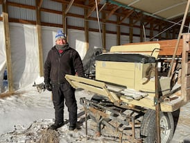 Horses and hockey: Former NHLer gets go-ahead to operate horse-drawn carriage business