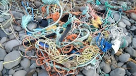 Ottawa launches new ghost gear fund as debris continues washing onto B.C. shores